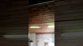 будни приюта.готовимся к зиме