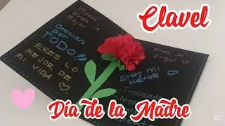 Clavel para el día de la Madre