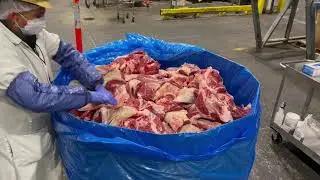 How to Use the Easy Collect Meat Sampler