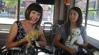 Startup Talks in the Park l Helen Woodward Animal Center at Underground Elephant