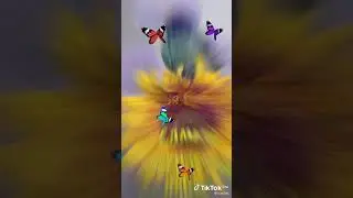 Доброе утро!!!