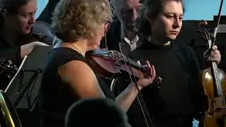 Чайковский Сон Авроры из балета Спящая Красавица Мария Шестакова(скрипка)