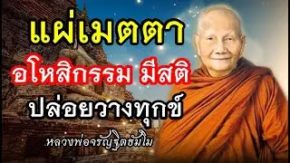 แผ่เมตตา มีสติ ปล่อยวางทุกข์🙏เสียงเทศน์ หลวงพ่อจรัญฐิตธัมโม(ไม่มีโฆษณาคั่น)17