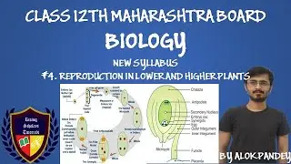 Structure of Anatropous Ovule | Magasporogenesis | Development of Female Gametophyte | By Alok | RST