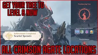 A Crimson Agate Guide - Genshin Impact