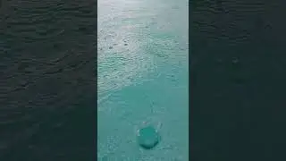 No Copyright Videos - Pool on Rain - No Copyright Zone