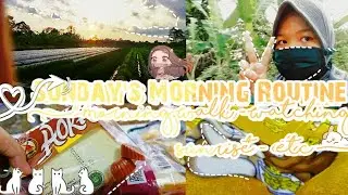 Sunday's Morning Routine ⛅ : Morning Walk 🚶🏻‍♀️watching sunrise ✨etc 🍀