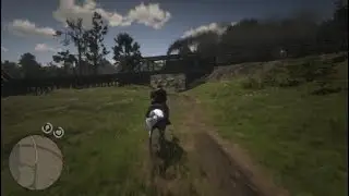RDR2 - American Distillation