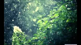 Summer Rain - All Saints