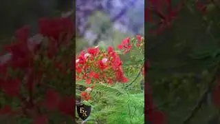 Ага, конечно "счастливая семейная пара" #shorts ДОНАТ 4441 1111 5398 6348 (поддержка канала)