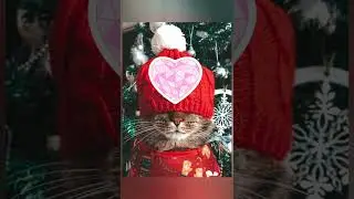 Я и мой взгляд на проблемы 😎