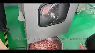 meat dicer machine