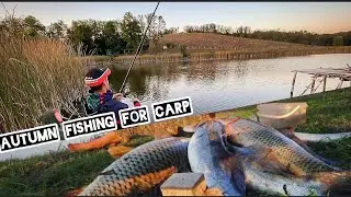 Рыбалка на карпа - ОСЕНЬ  FISHING autumn first day of FISHING
