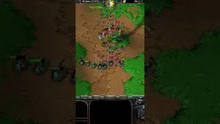 100 limits GRIFFINS vs. 100 limits ARCHERS