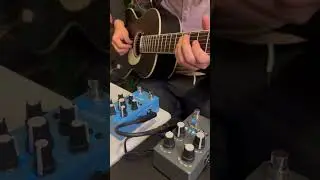 Rubber Bridge Guitar & Kinotone Pedals 🎸🎛️ #acousticguitar #guitarpedals #loop #guitartone #pedal