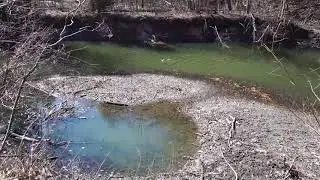 Spring on Highland Creek