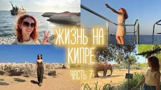 ЖИЗНЬ НА КИПРЕ, часть 7 | Пафос, Царские гробницы, мини-круиз, зоопарк