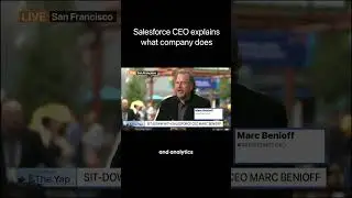 What does Salesforce actually do?