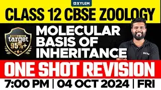 Class 12 CBSE Zoology | Molecular Basis of Inheritance | One Shot Revision | Xylem 12 CBSE