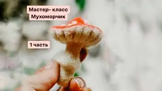24 февраля 2024 г.
