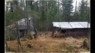вторая жизнь у таежной избы. строим туалет, металлокоп