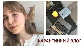 ЖИЗНЬ БЕЗ ХОЛОДИЛЬНИКА, сдача анализов и ностальгия по старым блогерам