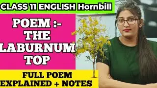 The laburnum top class 11|the laburnum top class 11 in hindi|The laburnum top