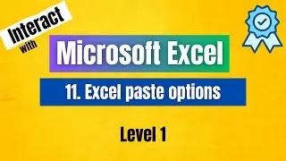 10.Excel Paste Options