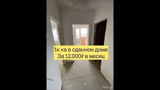 1к кв за 12.000₽ в месяц! ПОДПИШИСЬ #квартирыкраснодар  #жилье  #квартира  #краснодар  #новаяадыгея