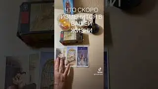 3 октября 2024 г.