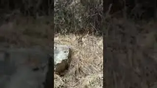 Водопад Байради,ДИГОРИЯ.