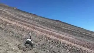 Dropped My Phone Down A Volcano