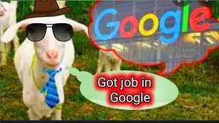 Why Google rents Goats. #google #shorts #youtubeshorts #goats #jobsearch