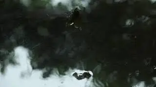 Rain Motion