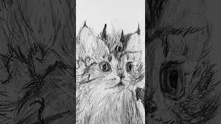 Rysuję kotka Fantasy #cat #shorts #fantasy #fly
