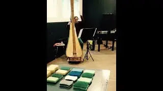 SPELINGEN - new harp concerto by Wilbert Bulsink, written for Miriam Overlach