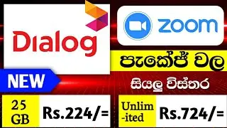 Dialog Zoom Package | 2024