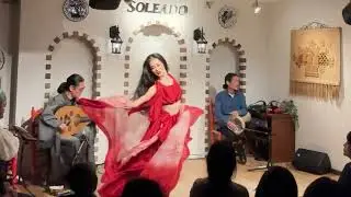 Farasha Tokyo 2024 ベリーダンス Bellydance 