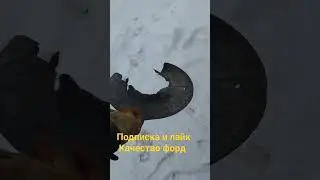 18 февраля 2024 г.