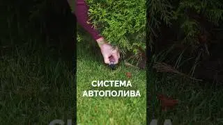 УДОБНЫЙ УЧАСТОК ЗА 5 ШАГОВ #shorts #участок #благоустройство
