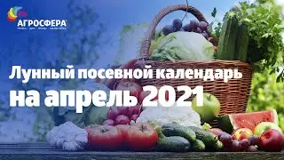 Лунный посевной 