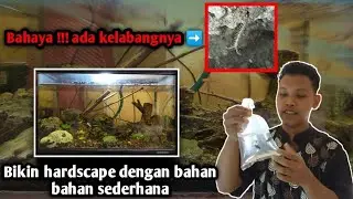 Bikin hardscape dengan bahan yang ada di belakang rumah