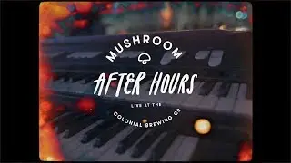 Mushroom After Hours: The Teskey Brothers perform 'Hold Me'