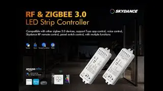 SKYDANCE Zigbee&RF remote led controller TUYA APP Alexa Google