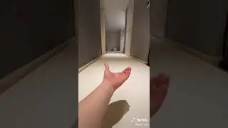Most Adorbale Puppy. Kawaii puppy. Meme