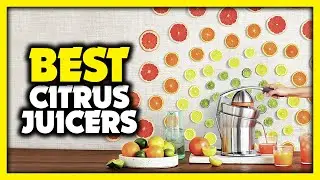 Citrus Juicer - Top 5 Best Citrus Juicers 2023 | Best Citrus Juicer