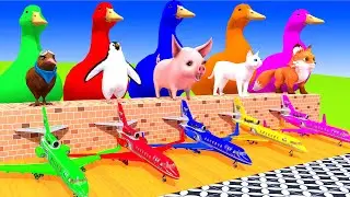 5 Giant Duck, Monkey, Lion, chicken, zebra, cat, brown cow, Sheep, Transfiguration funny animal 2023