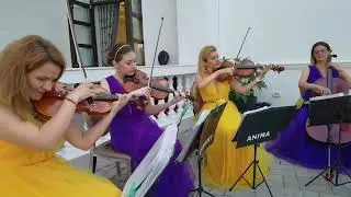 Momente surpriza nunta - Cvartet Anima