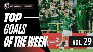 🚀 Rocket Shot to the Top Bin! | 2024 J.LEAGUE TOP GOALS | VOL. 29