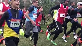 CROSS Minimes Garçons ((3050m) - Champigny-sur-Marne sur Marne, 12 Janvier 2029